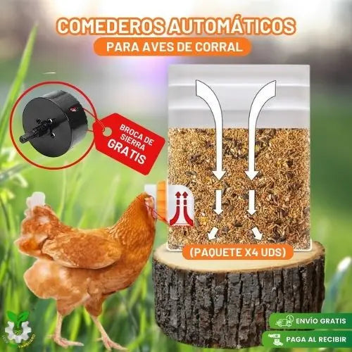 Comederos Automáticos para Aves de Corral (Paquete x 4 Unidades)