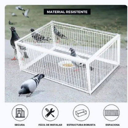 Trampa Jaula para aves BirdSafe®