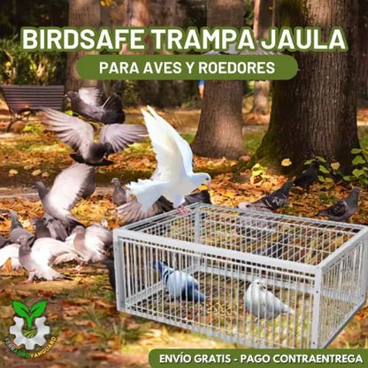 Trampa Jaula para aves BirdSafe®