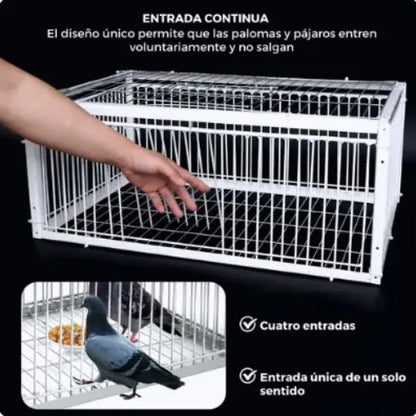 Trampa Jaula para aves BirdSafe®